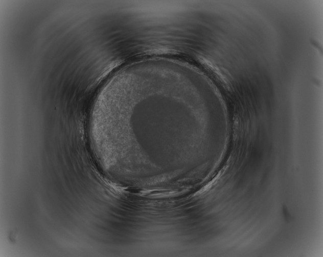 X0000091361305200709071254