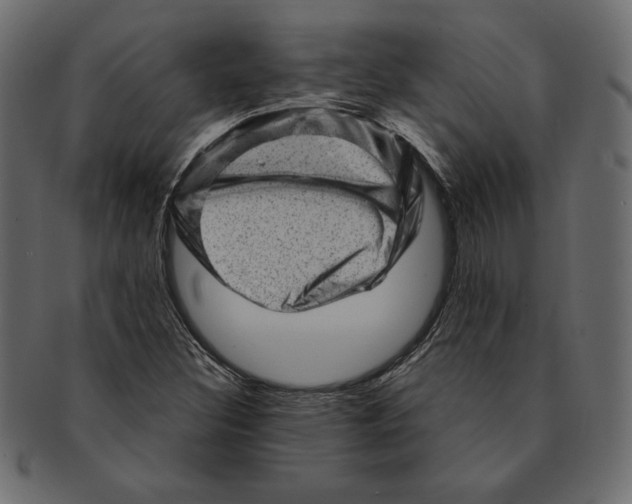 X0000091361308200709071254