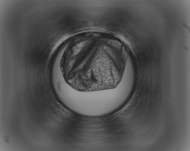 X0000091361310200709071254