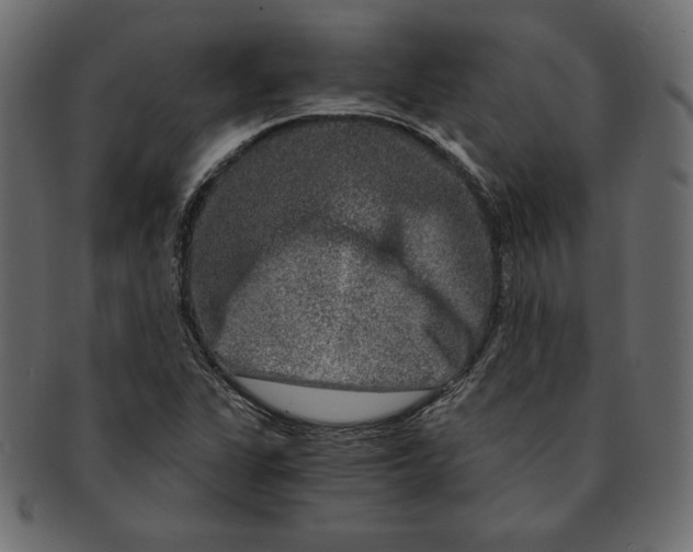 X0000091361311200709071254