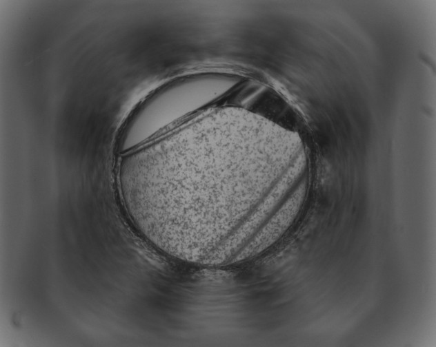 X0000091361312200709071254