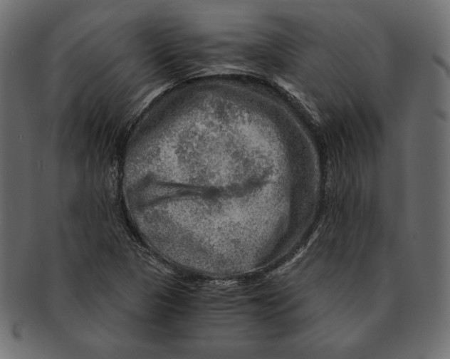 X0000091361313200709071254