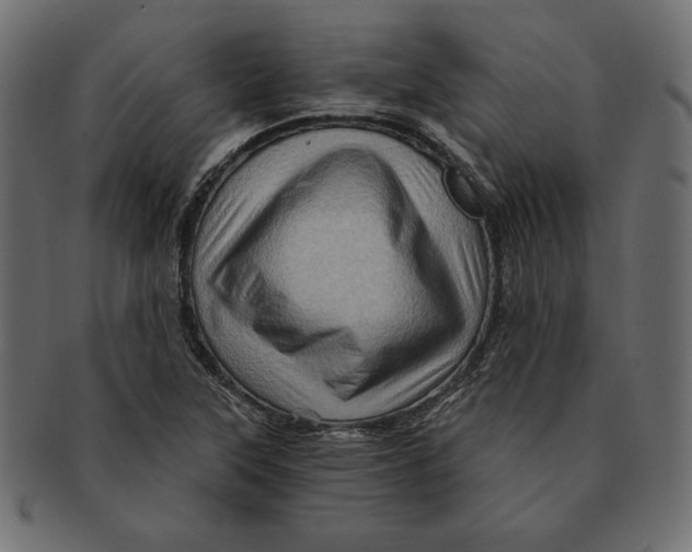 X0000091361315200709071254