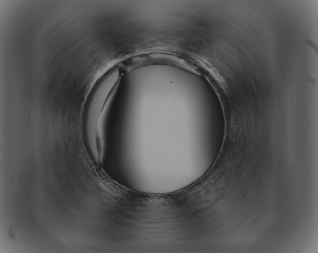 X0000091361316200709071254