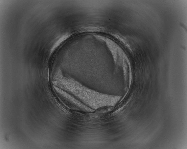 X0000091361317200709071254