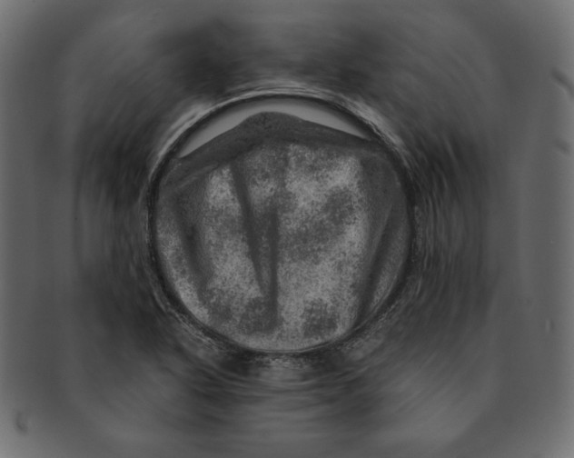 X0000091361318200709071254