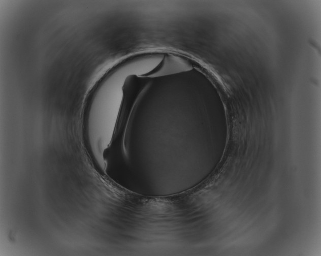 X0000091361319200709071254