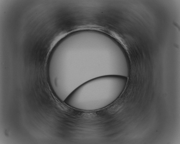 X0000091361320200709071254