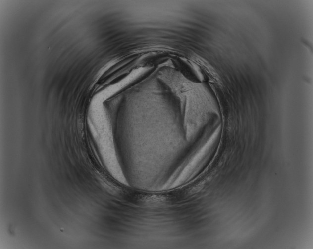X0000091361321200709071254