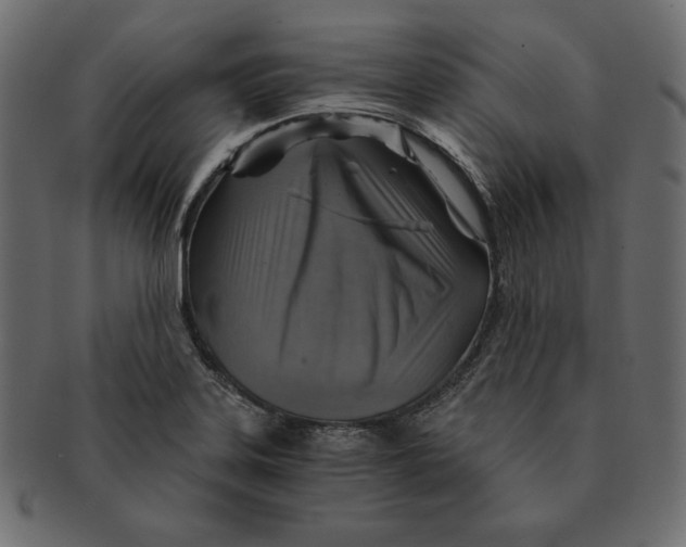X0000091361323200709071254