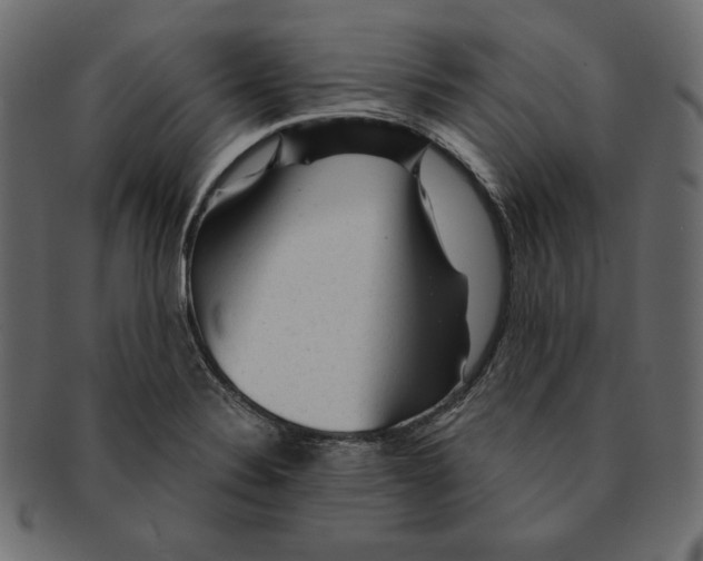 X0000091361324200709071254