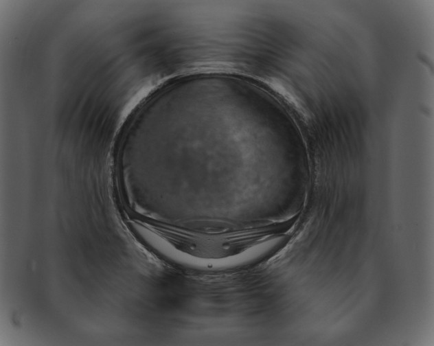 X0000091361325200709071254