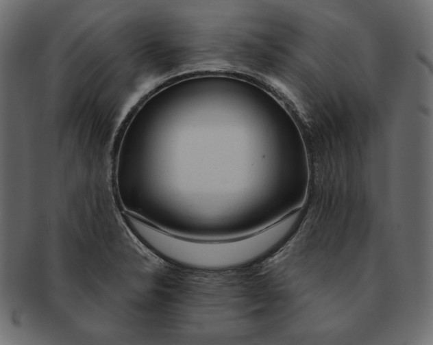 X0000091361326200709071254