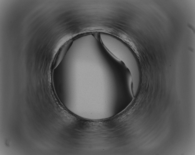 X0000091361328200709071254