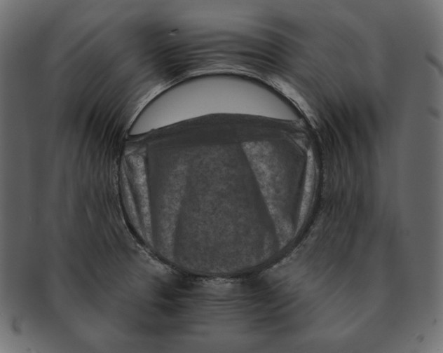 X0000091361329200709071254