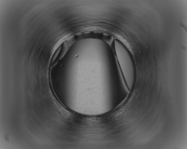 X0000091361330200709071254