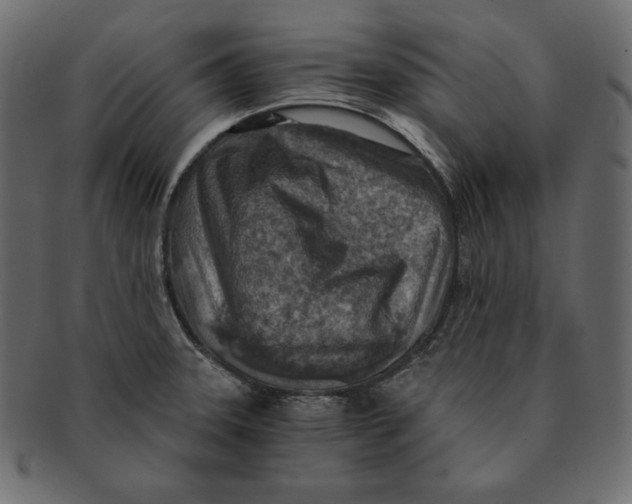 X0000091361331200709071254
