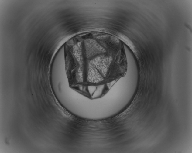 X0000091361332200709071254