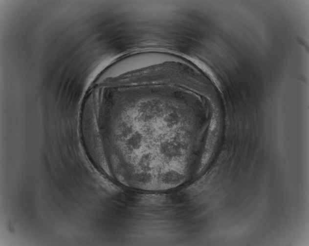 X0000091361333200709071254