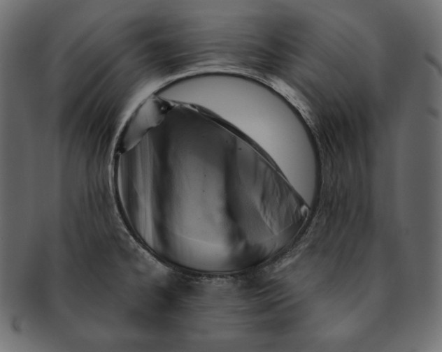 X0000091361334200709071254