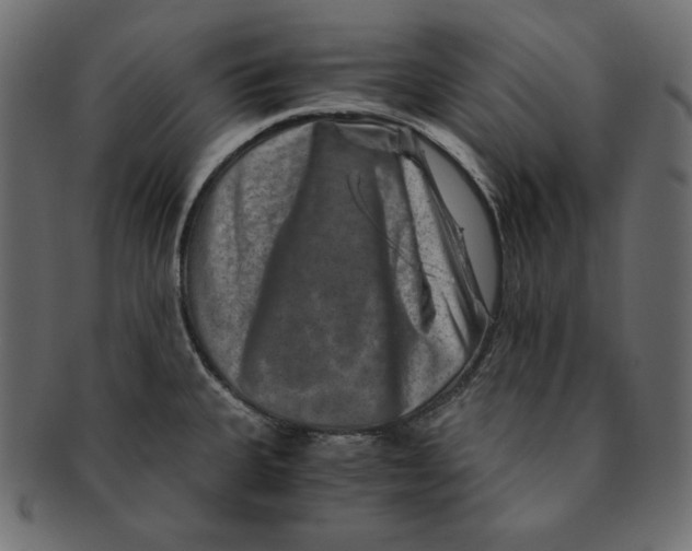 X0000091361335200709071254