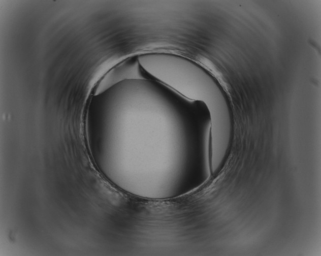 X0000091361336200709071254