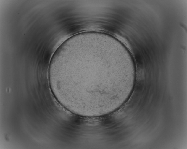 X0000091361338200709071254