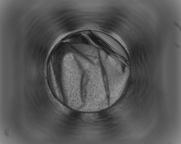 X0000091361339200709071254