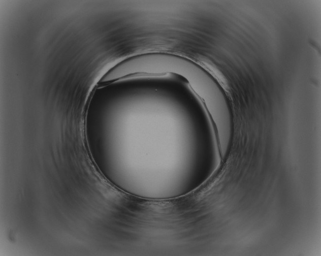 X0000091361340200709071254