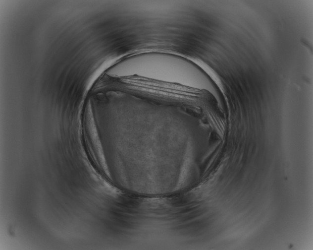 X0000091361341200709071254