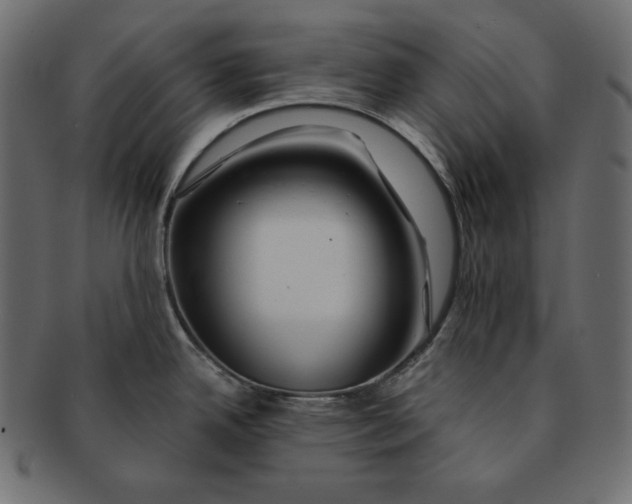 X0000091361342200709071254