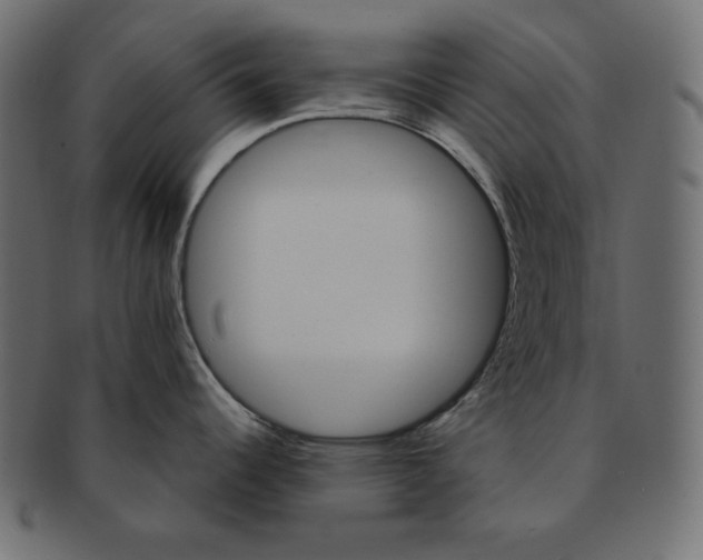X0000091361344200709071254
