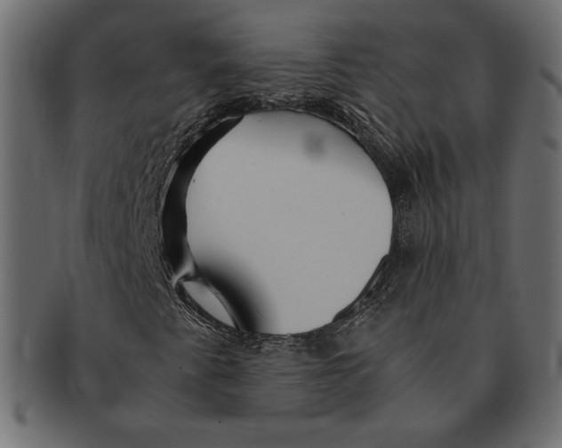 X0000091361345200709071253