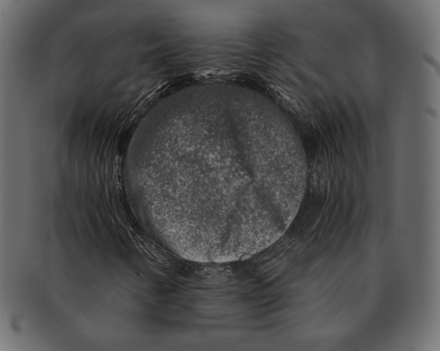 X0000091361346200709071253