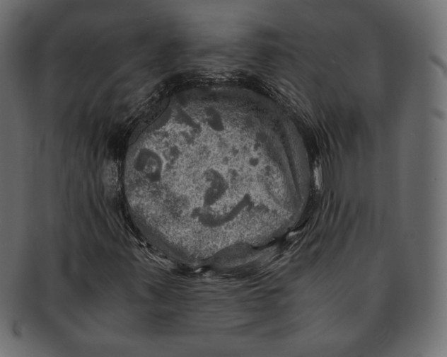 X0000091361347200709071253
