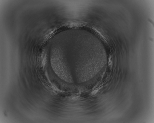 X0000091361348200709071253
