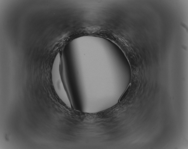 X0000091361349200709071253