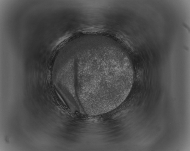 X0000091361350200709071253