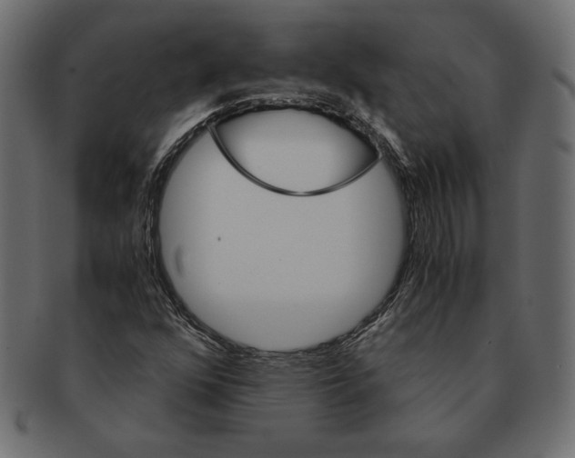 X0000091361352200709071253