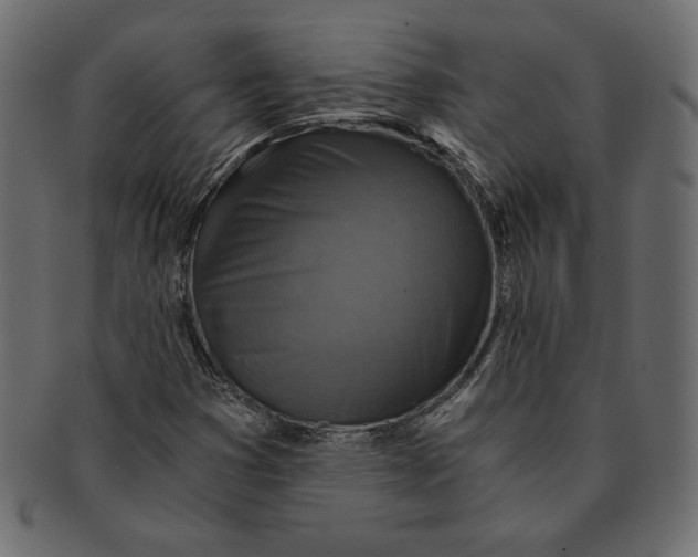 X0000091361353200709071253