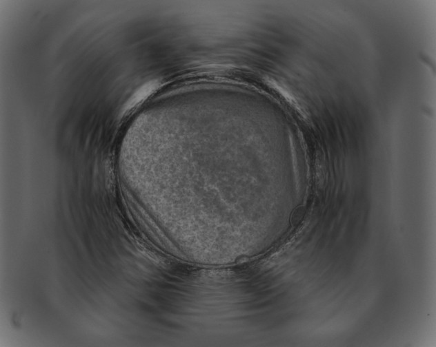 X0000091361354200709071253