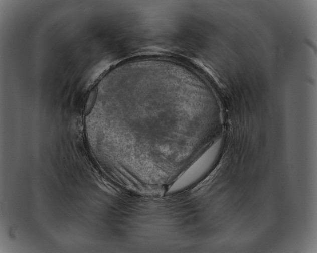 X0000091361355200709071253