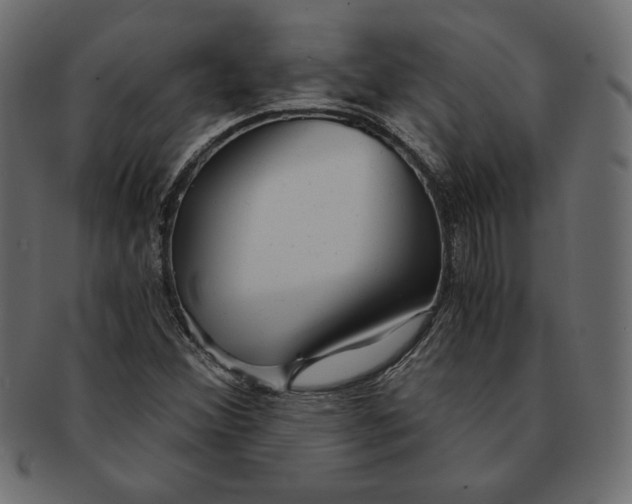 X0000091361356200709071253
