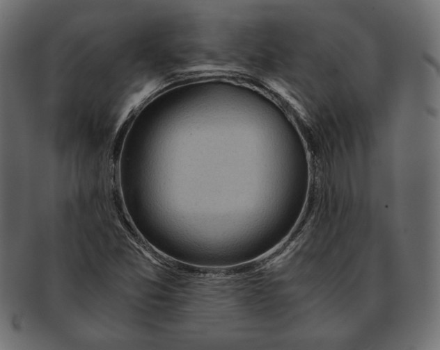 X0000091361357200709071253