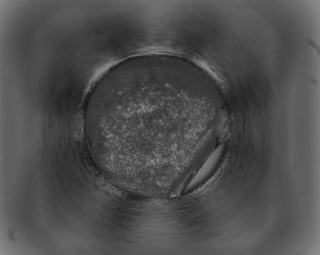 X0000091361358200709071253