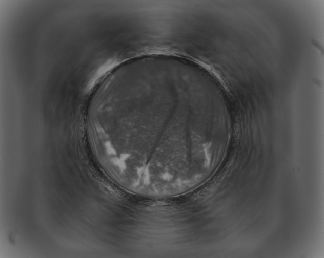 X0000091361359200709071253