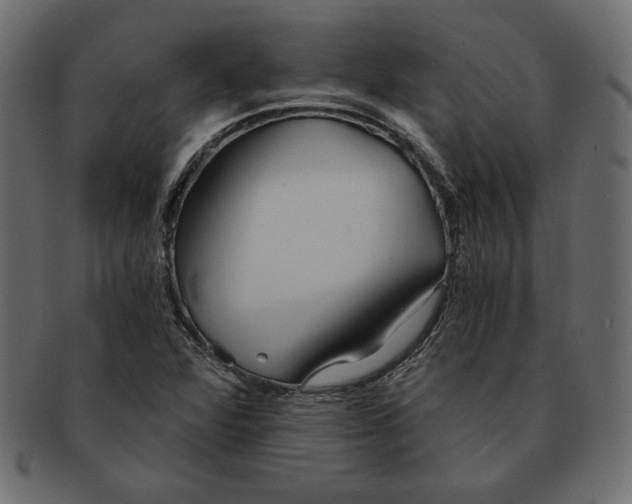 X0000091361360200709071253