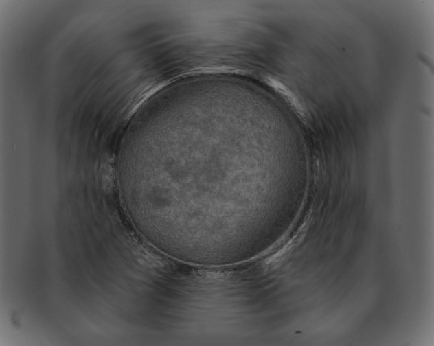 X0000091361361200709071253