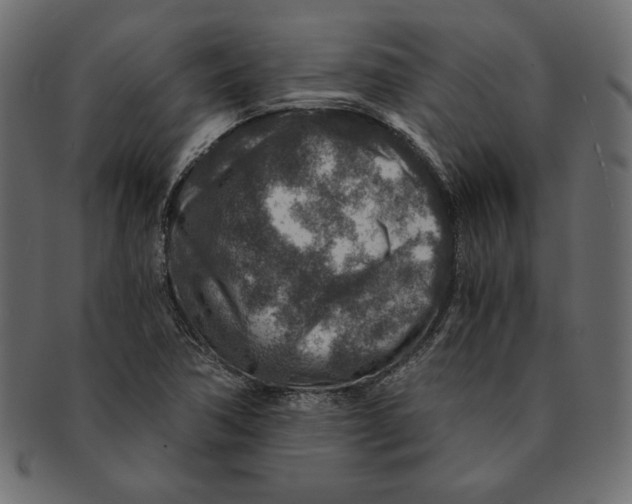 X0000091361362200709071253