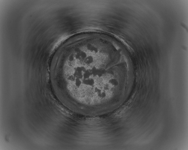 X0000091361363200709071253